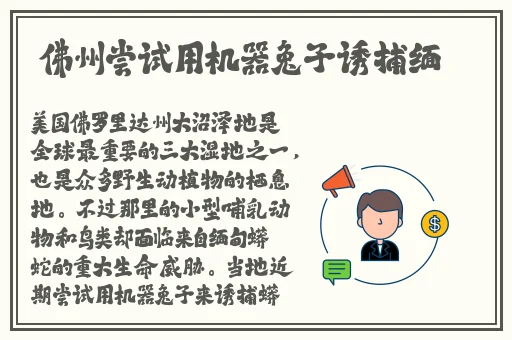 好色的外科大夫